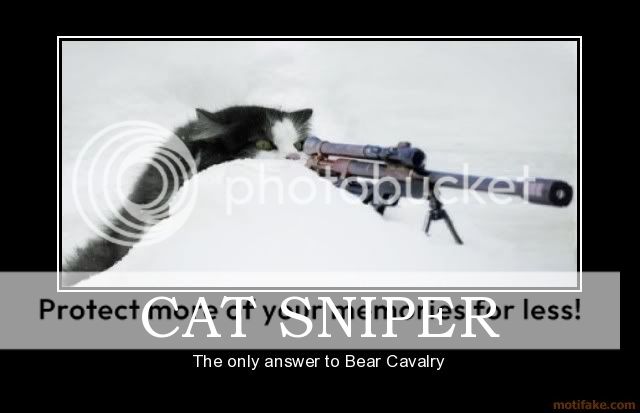 cat-sniper-demotivational-poster-12.jpg