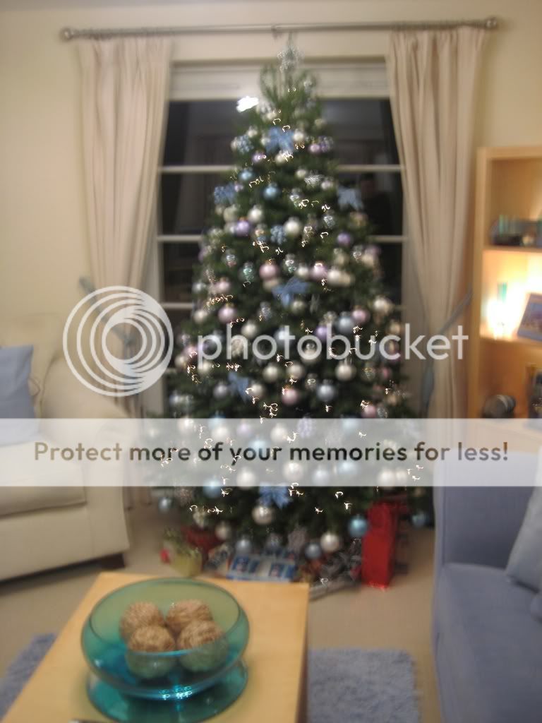 treeportrait.jpg