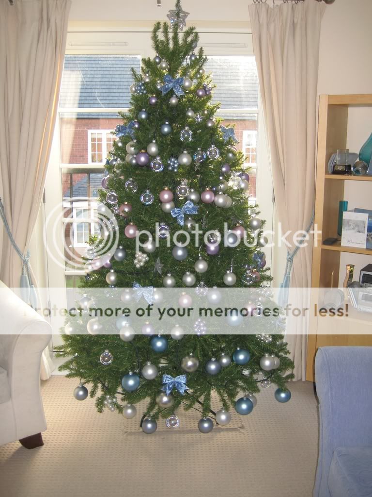 treeportrait2.jpg