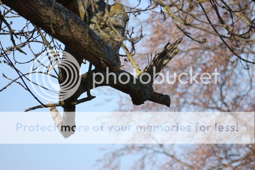DSC_0021-Copy.jpg