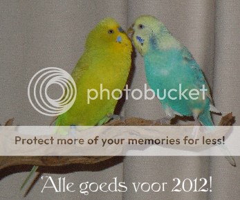Schermafbeelding2011-12-25om164305.png