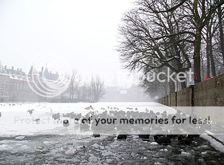 witte wondere wereld