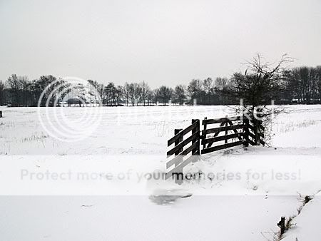 witte wondere wereld