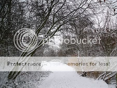 sneeuw; puur genieten voor mij