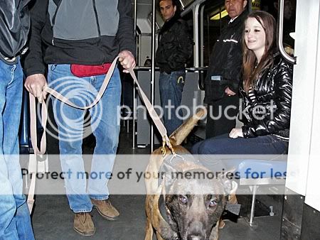 Drugshond ingezet tijdens integrale tramcontrole tram 9 Den Haag