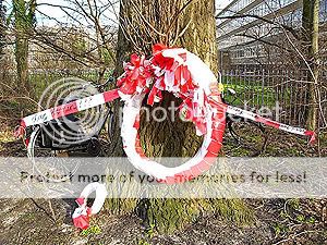 Rouwdienst voor de bomen op de Segbroeklaan