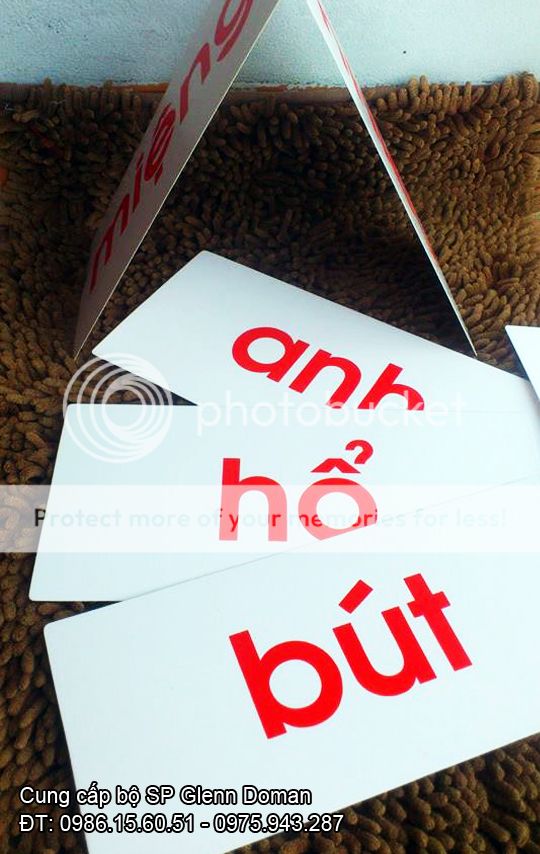 FLASHCARD dạy trẻ theo PP GlennDoman SIÊU RẺ - Bé sẽ thông minh từ rất sớm - 7