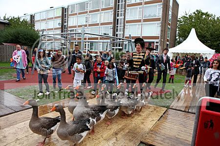 Lopen achter de ganzen.....