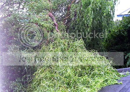 grote tak door de storm geveld