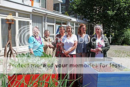 de grootmoeders in hun tuin