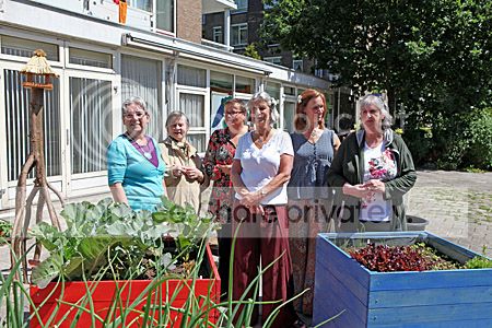 de grootmoeders in hun tuin