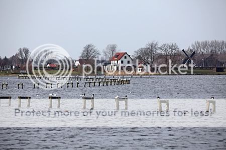 Prachtig Hollands plaatje