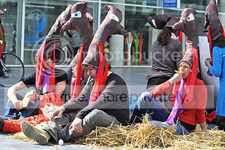 Ludieke actie de Illusie