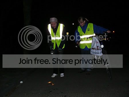 Op zoek naar overstekende padden